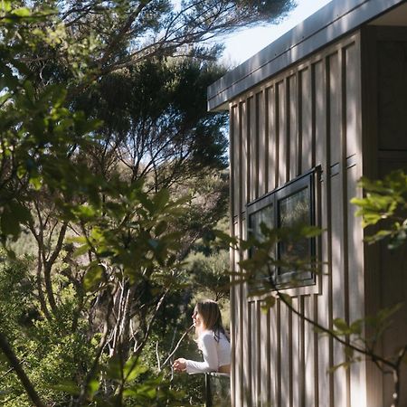 Treehouse Hideaway At Rekindle Tree Houses Opua Luaran gambar