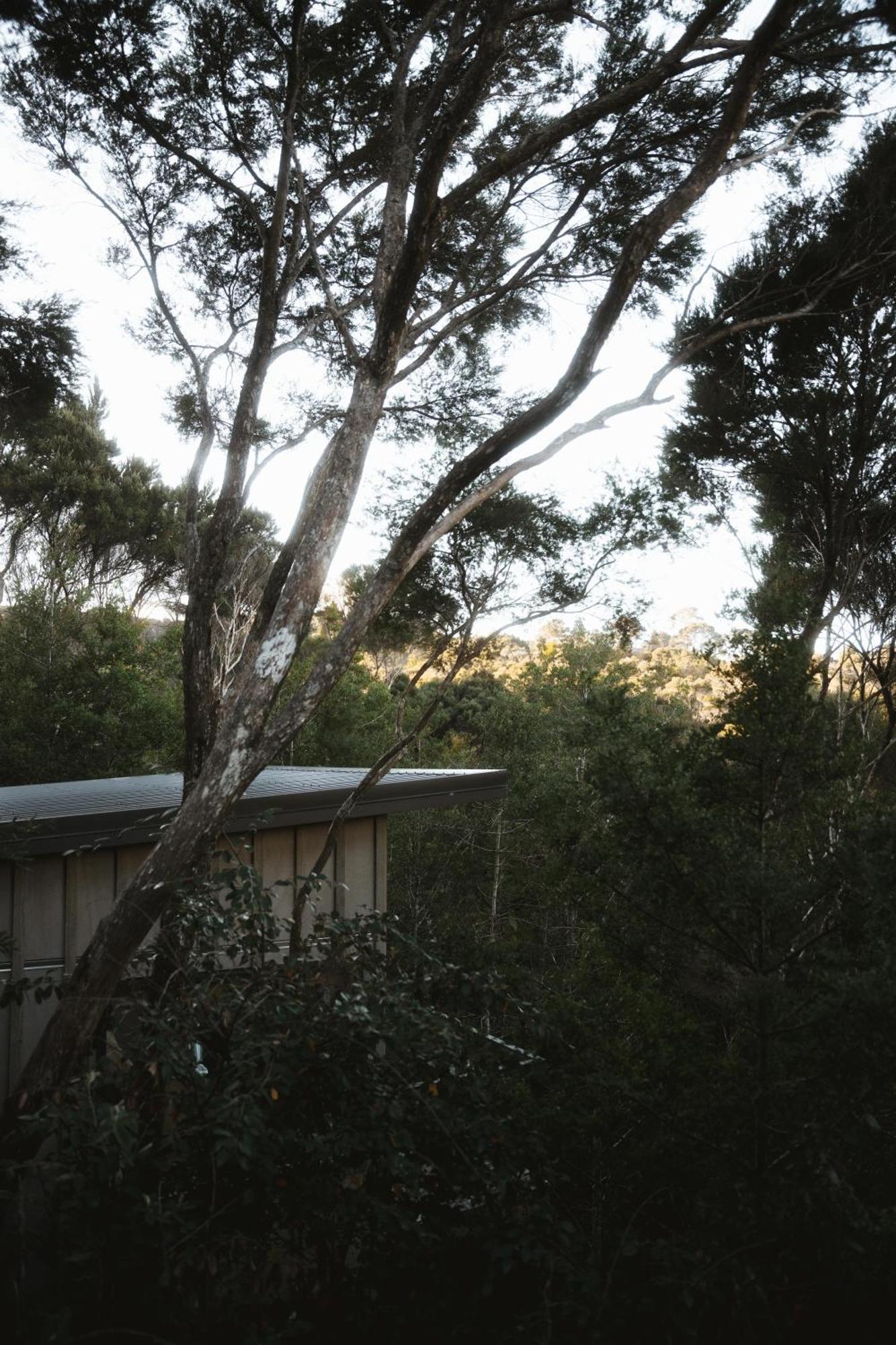 Treehouse Hideaway At Rekindle Tree Houses Opua Luaran gambar